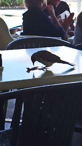 Montmartre By The Sea - Hospitality and gastronomy