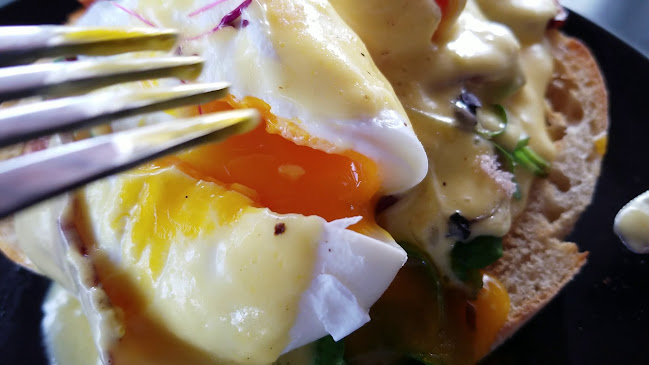 Perrotta's at the Gallery - Cairns City