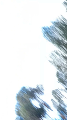 Hungry Jack's Burgers Waurn Ponds - Hospitality and gastronomy