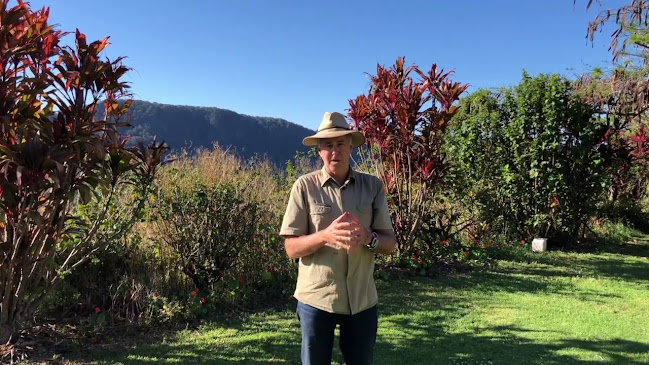 Opinii despre Coffee Beans Shop în Burleigh Heads - Hospitality and gastronomy