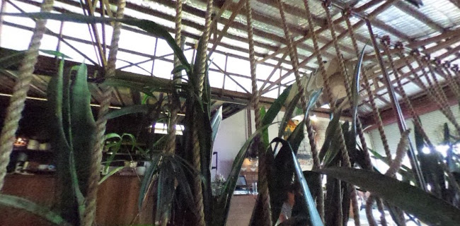 Comentarii opinii despre Freo Pizza Factory