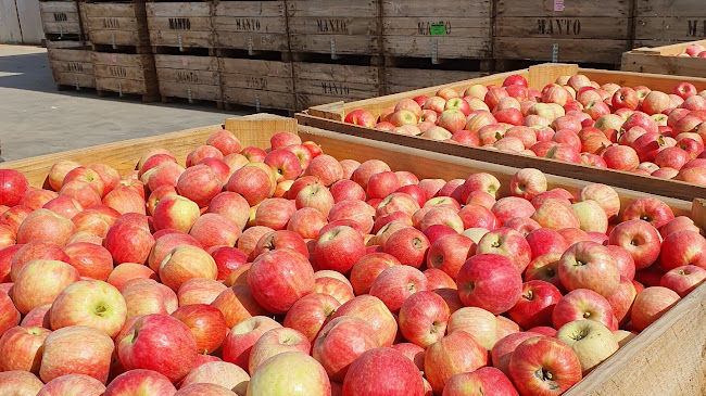 Manto Produce & Providore