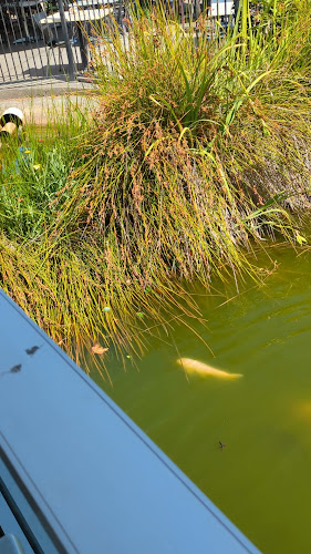 Cafe Injoy - Hospitality and gastronomy