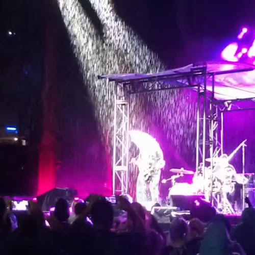 Tiger Eye - Brisbane City