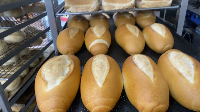 Gallo Bakery - Hospitality and gastronomy