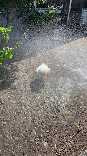 Opinii despre Milk Haus în Sydney - Hospitality and gastronomy