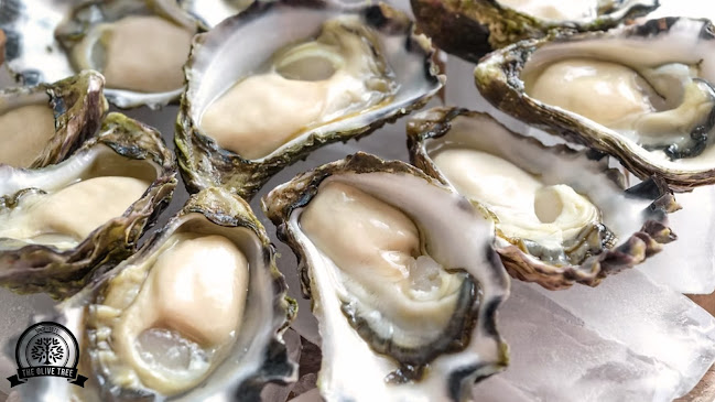 19 Park St, South Melbourne VIC 3205