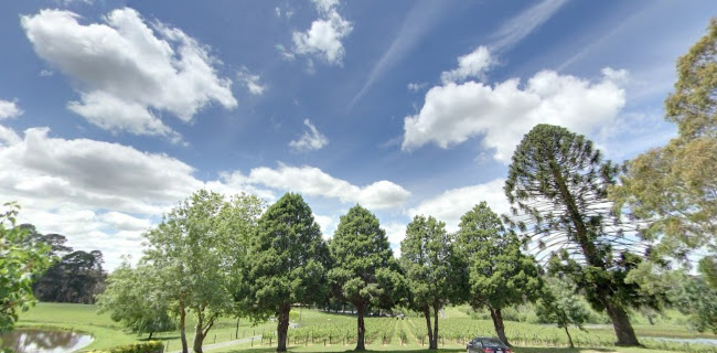 15 Onkaparinga Valley Rd, Verdun SA 5245