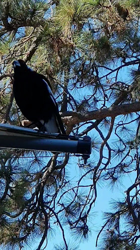 Comentarii opinii despre The Museum Cafe