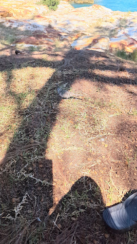 Comentarii opinii despre Jay's Coffee Bar