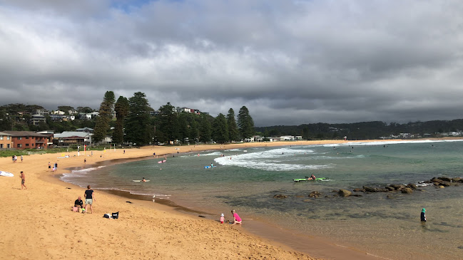 The Kiosk Avoca Beach
