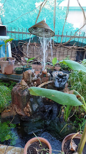 Opinii despre Tinh & Lan Alice în Connellan - Hospitality and gastronomy