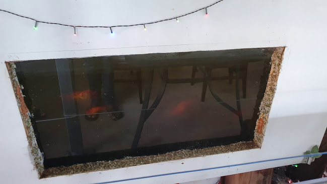 Tinh & Lan Alice - Connellan