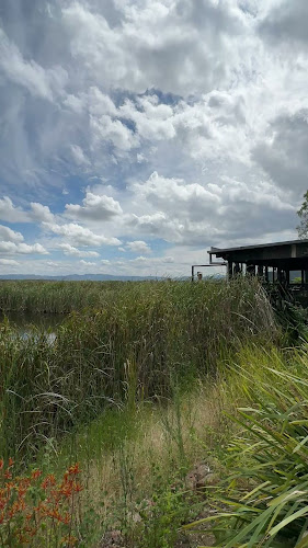 Opinii despre Pipeclay Pumphouse în Sydney - Hospitality and gastronomy