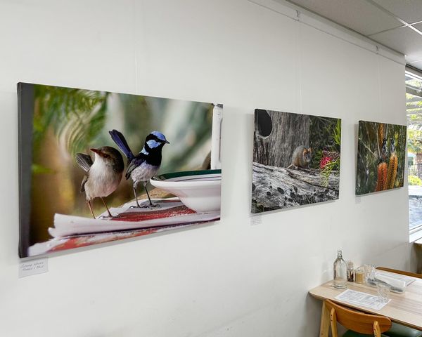 Comentarii opinii despre Milestone Cafe & Bistro