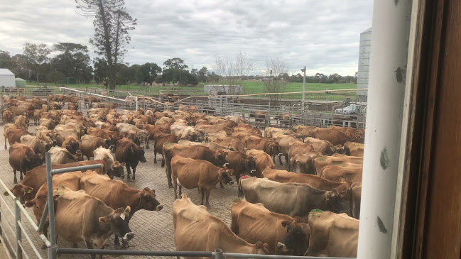 Comentarii opinii despre Caldermeade Farm & Cafe