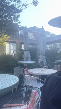 Untied - Rooftop Sydney - Barangaroo