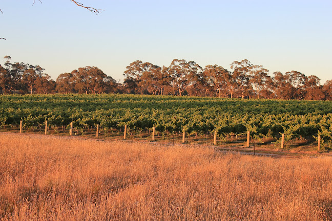 Armstrong Wines - Hospitality and gastronomy