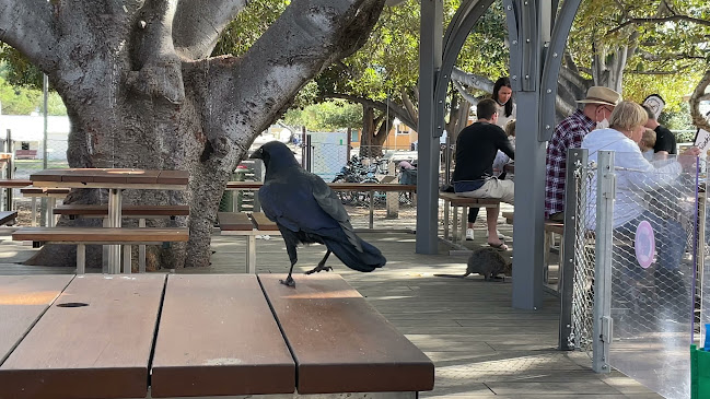 Comentarii opinii despre Rottnest Bakery