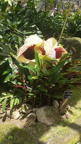 Botanic Gardens Restaurant & Cafe