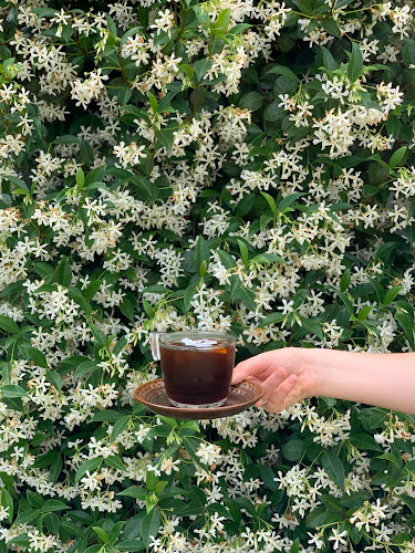 Comentarii opinii despre Grit Cafe