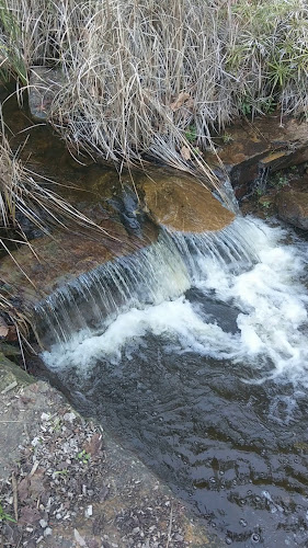 170 Waterfall Gully Rd, Waterfall Gully SA 5066