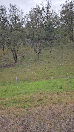 Opinii despre Moonan Flat Pub în Sydney - Hospitality and gastronomy