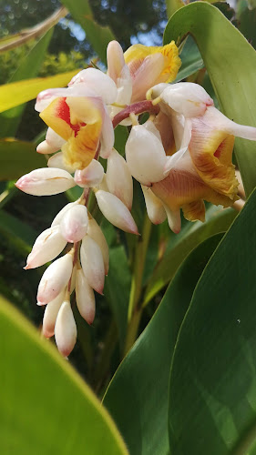 Comentarii opinii despre Poets Cafe