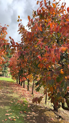 Raeburn Orchards - Hospitality and gastronomy