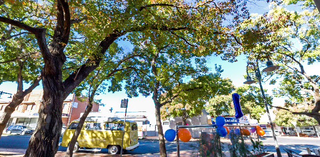 Comentarii opinii despre Roasted Kombi