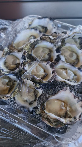 Opinii despre The Big Oyster & Seafood în Sydney - Hospitality and gastronomy