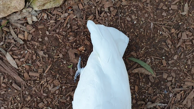 Comentarii opinii despre Old Bakery Stone Hut