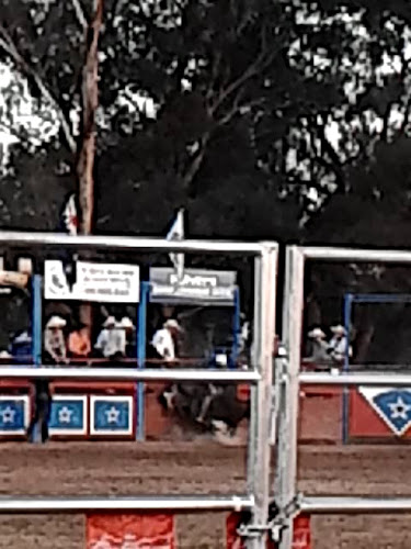 Comentarii opinii despre The King's Own