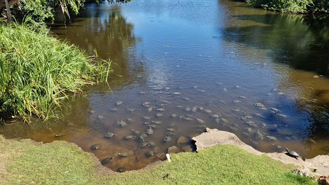 Opinii despre Kondari Hotel în Urangan - Hospitality and gastronomy