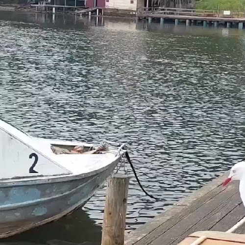 Tuross Boatshed & Cafe - Hospitality and gastronomy