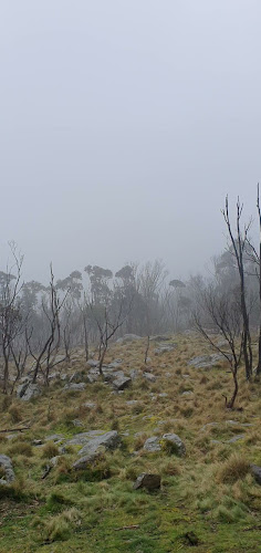 Top of the Range Tea Rooms