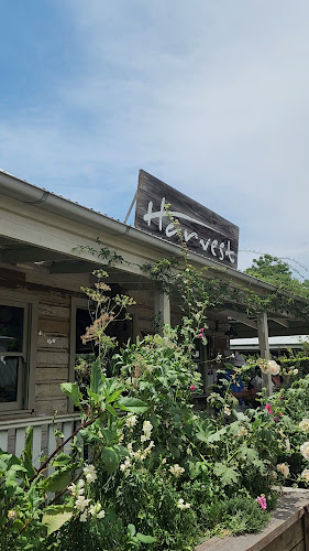 Harvest Newrybar - Hospitality and gastronomy