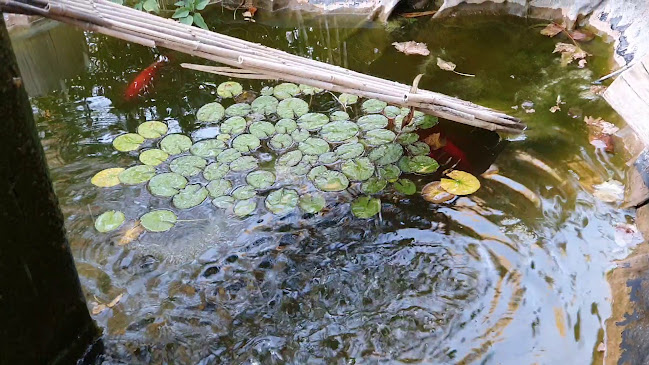 Lot 1900 Heffernan Rd, Connellan NT 0873