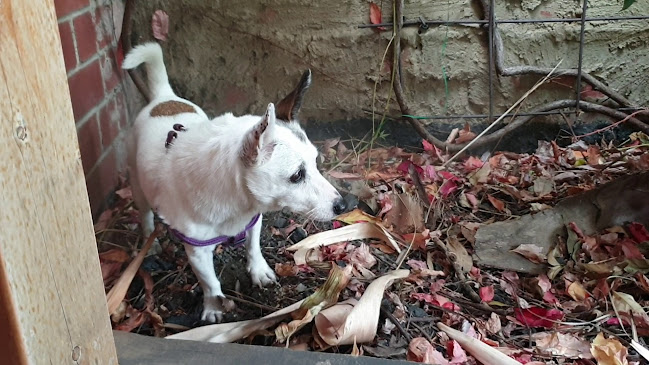 33 Errol St, North Melbourne VIC 3051