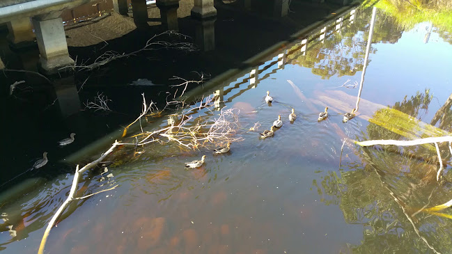 Opinii despre Riverbank Cafe în Melbourne - Hospitality and gastronomy