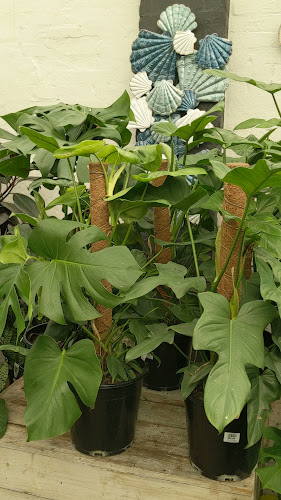 Opinii despre Van Loon’s Cafe în Melbourne - Hospitality and gastronomy