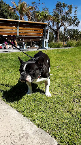 Comentarii opinii despre Pepe's On The Beach