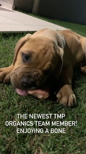 TMP Organics Butcher And Supermarket