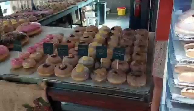 8 Elizabeth St, Kenilworth QLD 4574