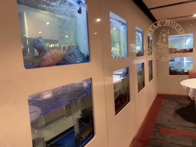 1/31-39 Gouger St, Adelaide SA 5000