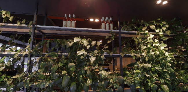 Opinii despre Maple + Clove în Barton - Hospitality and gastronomy