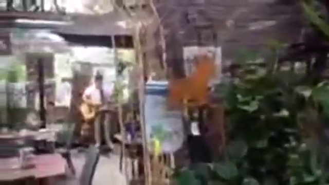 Opinii despre Wyee Nursery Cafe în Sydney - Hospitality and gastronomy