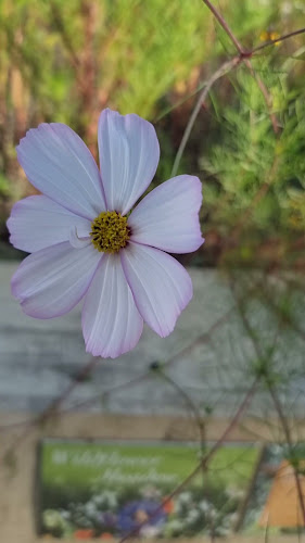 AB Bakery - Abdallah Brothers Bakery Dandenong - Hospitality and gastronomy