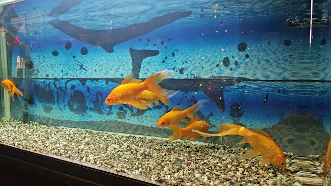 Emerald Thai Restaurant