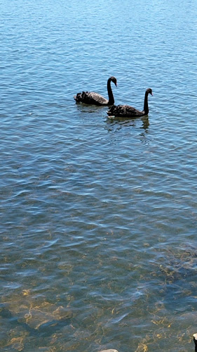 The Lake View Hotel - Lake Wendouree